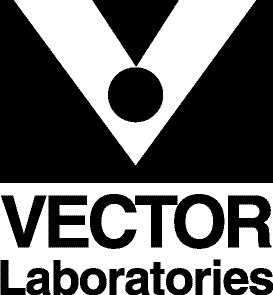 vector-logo.jpg